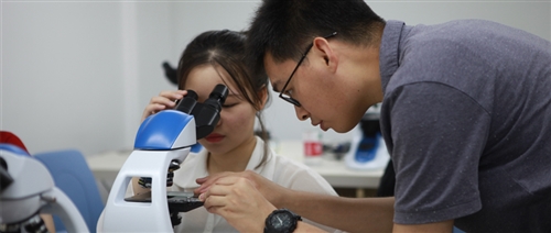 教学行思——以科学的技术教人，以人文的情怀育人