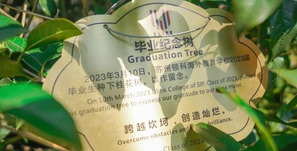 Graduation Tree｜2023届毕业生共植毕业树