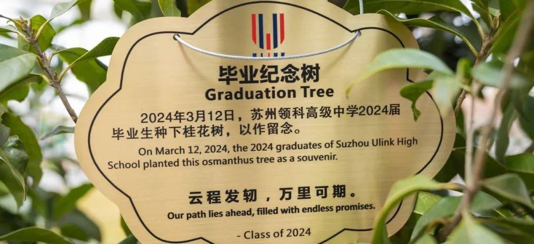 云程发轫，万里可期｜苏州领科2024届毕业生植树活动