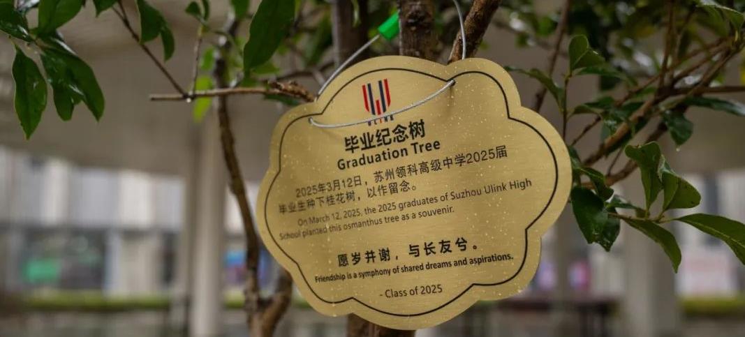 愿岁并谢，与长友兮｜苏州领科2025届毕业生植树活动